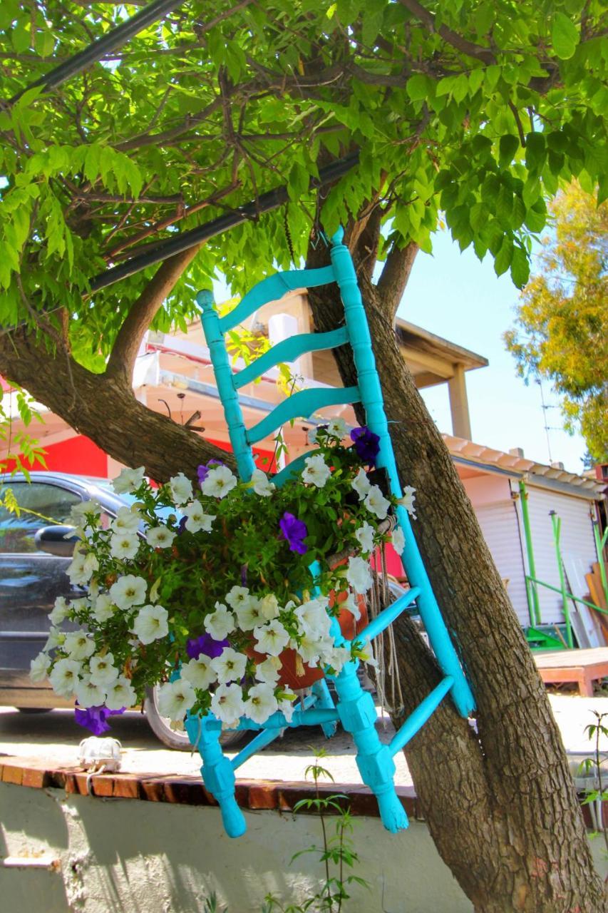 Benitsa Hotel *